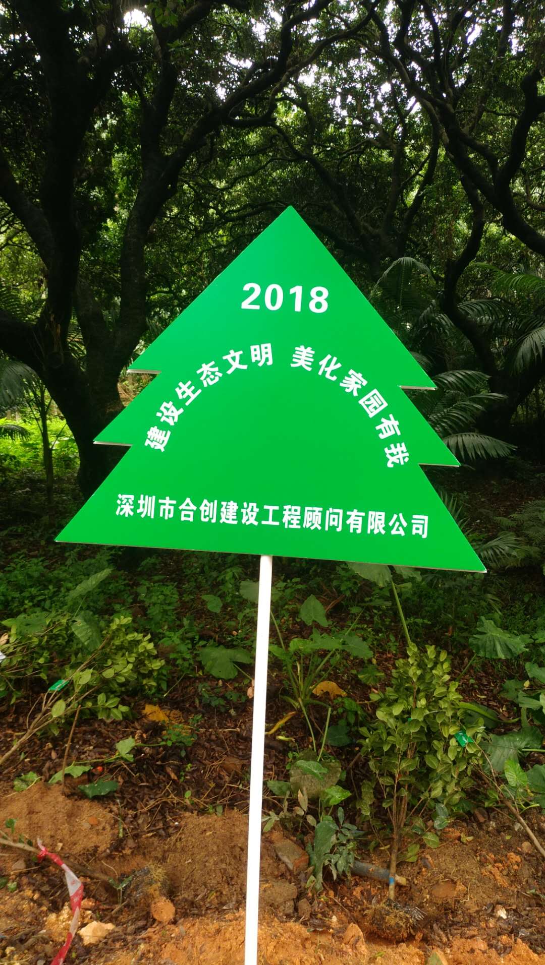 1528785226669872.jpg 1528785226669872.jpg