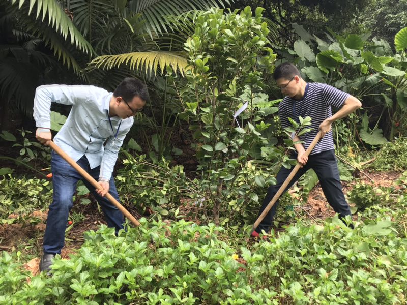 1528785913957717.jpg 1528785913957717.jpg