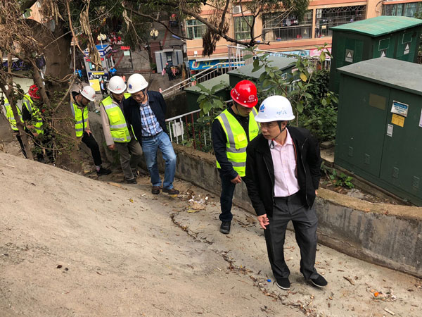 1551940510228422.jpg d.jpg